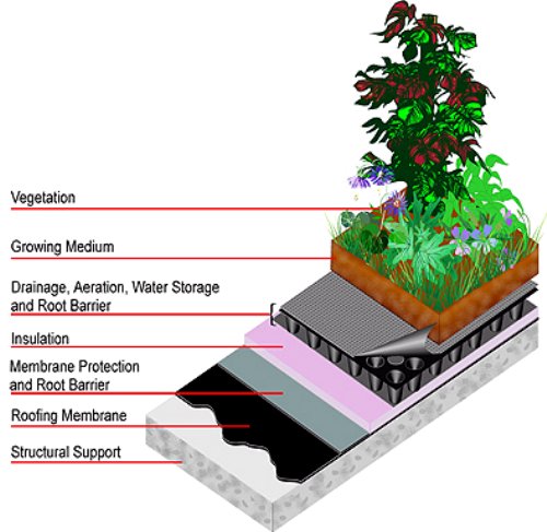 green roof model